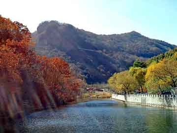 白小姐管家婆四肖八码,全面释义，拒绝虚假蛊惑陷阱，22-47-7-17-26-11特别号码：1